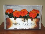 crate flower box crate flower box