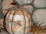 birch pumpkin8 birch pumpkin8