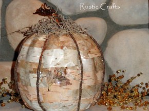 birch pumpkin8 birch pumpkin8