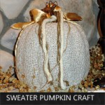 pumpkin-craft pumpkin-craft