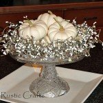 white pumpkins