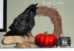 crow crow