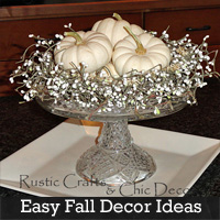 Craft Ideas Decorating Small Pumpkins on Super Easy Fall Decor Ideas   Rustic Crafts   Chic Decor