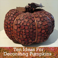 Craft Ideas Decorating Small Pumpkins on Ten Ideas For Decorating Pumpkins   Rustic Crafts   Chic Decor