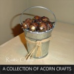 acorn-crafts acorn-crafts