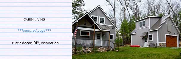 cabin-living cabin