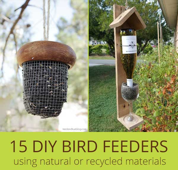 At Home Activity: Upcycled Bird Feeders — Chicago Children's Museum