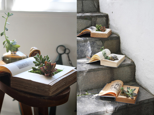 what to do with old books - diy book planter