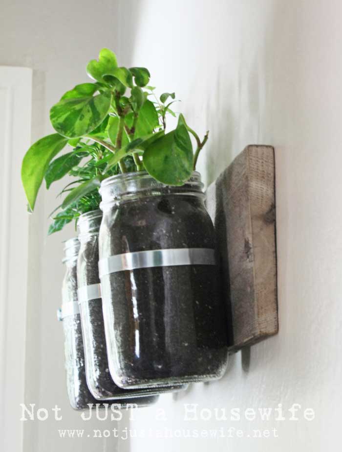 mason jar wall planter