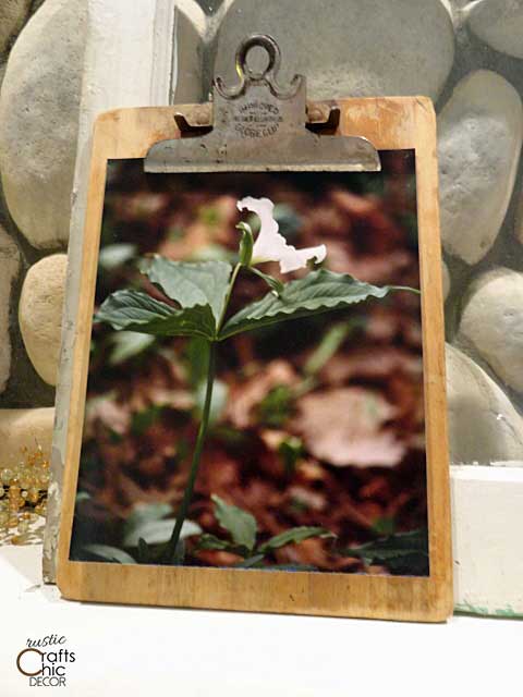 creative picture frames - clipboard photo holder