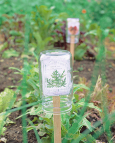 outdoor mason jar ideas - mason jar plant markers