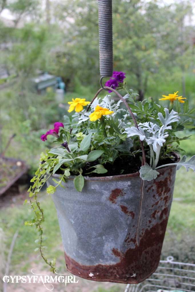 rustic outdoor decor ideas - rusty bucket hanging planter