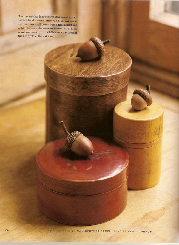 acorn crafts