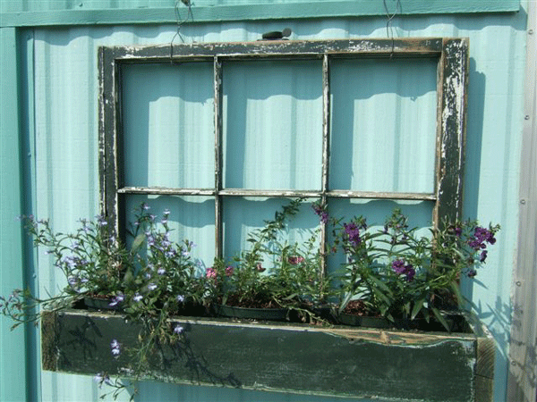 old window planter box