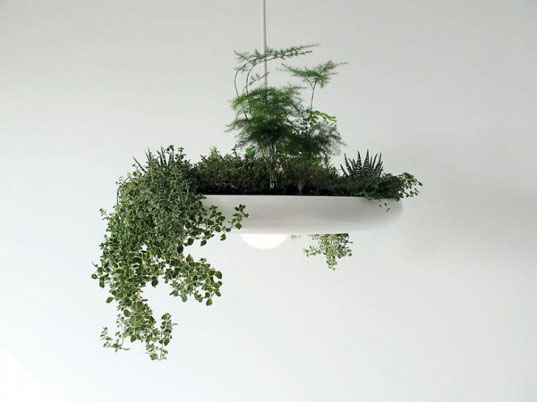 light fixture planter