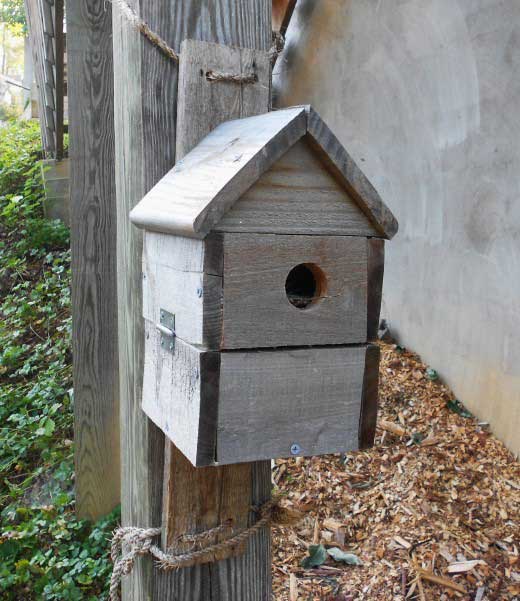 pallet blue bird house