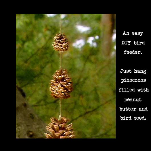 DIY pinecone bird feeder