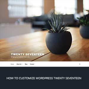 how to customize wordpress twenty seventeen