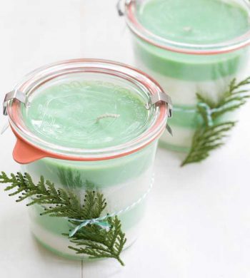 diy Christmas gifts pine soy candles