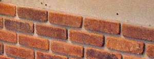 how to install a thin brick wall