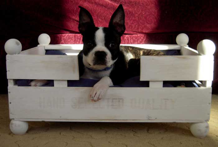 crate dog bed