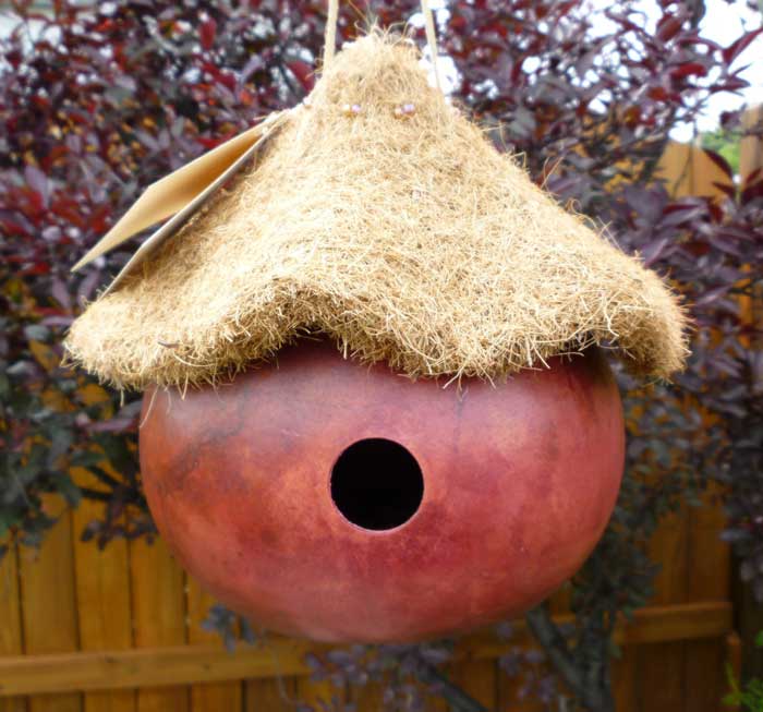 diy gourd birdhouse