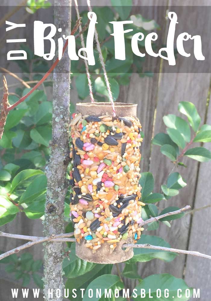 toilet paper roll bird feeders