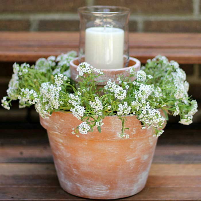 flower pot centerpiece