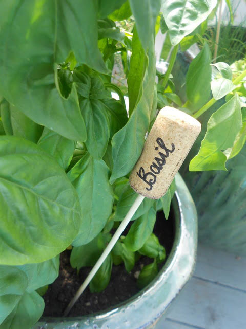 wine cork herb marker