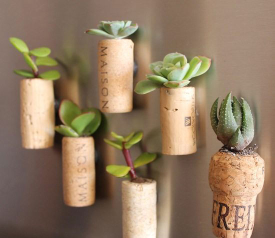 wine cork planter magnets