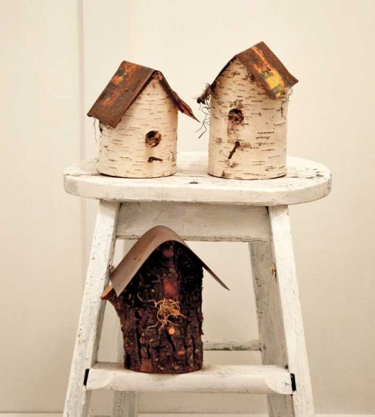 birch log birdhouses