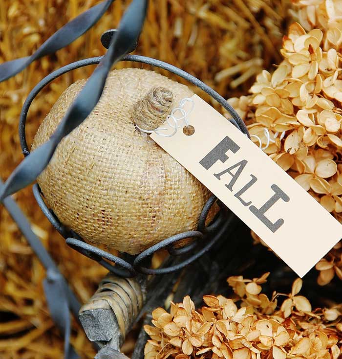 burlap pumpkins