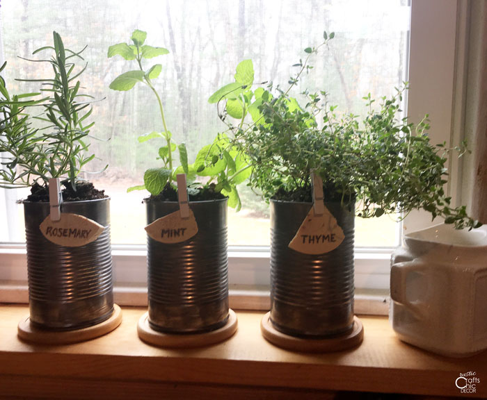 diy indoor herb garden