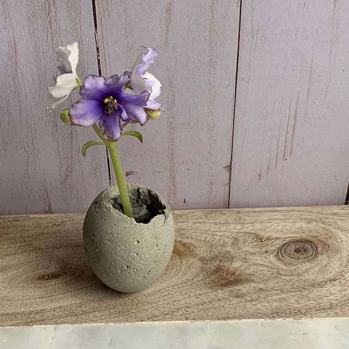 diy cement egg planter