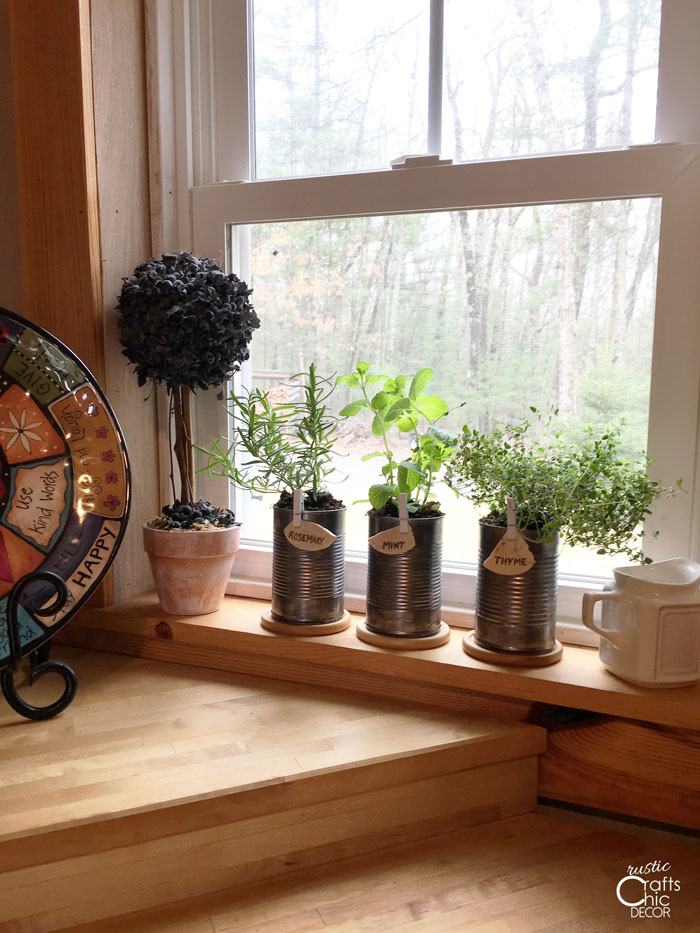 diy indoor herb garden