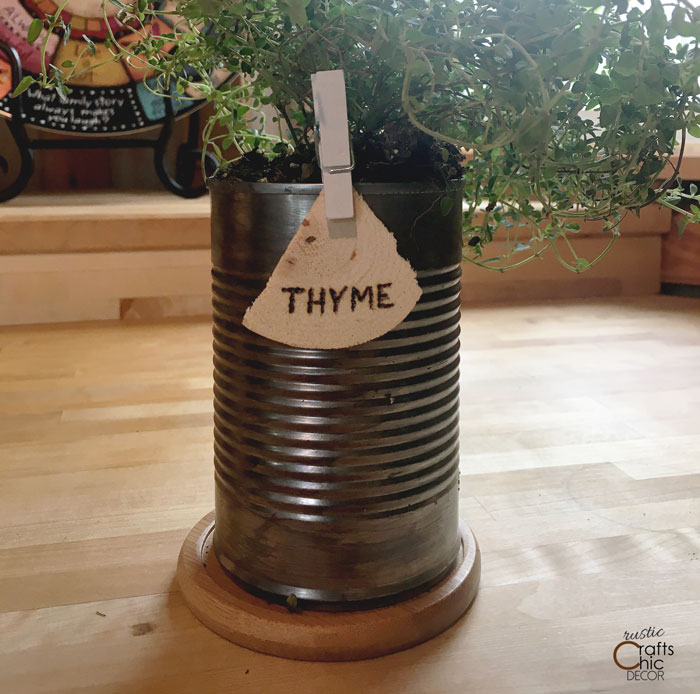 DIY Indoor Herb Garden With Tin Cans - Rustic Crafts ...