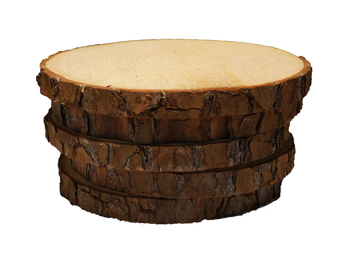 rustic craft supply - wood slices