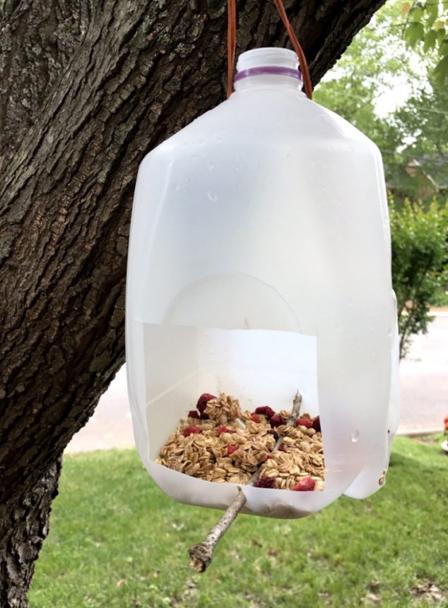 milk jug bird feeder diy