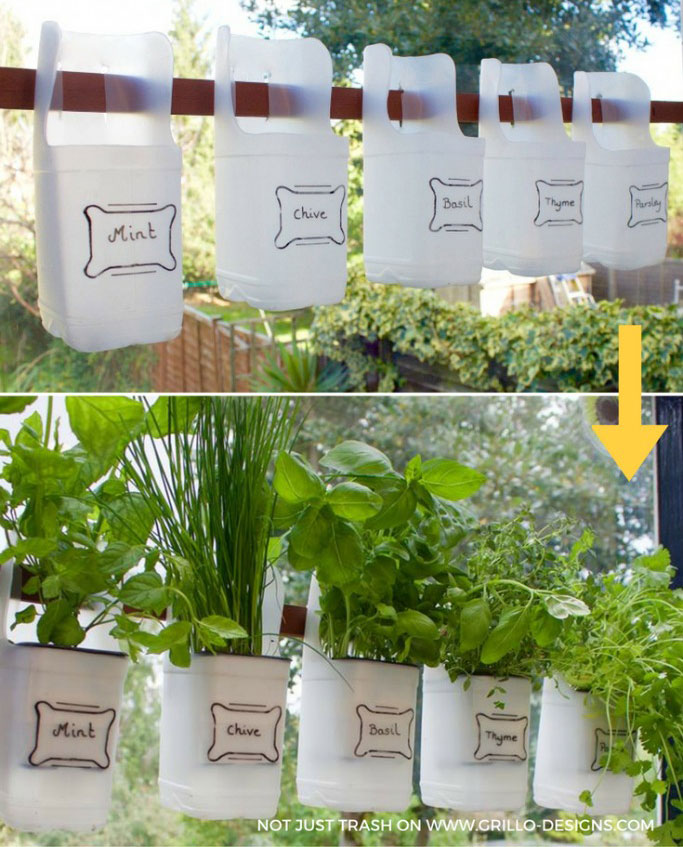 5 creative ways to use a milk jug in the garden - Creative Ramblings