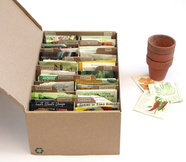diy seed storage box
