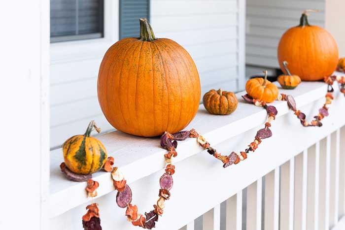 diy fall garland made from root vegetables