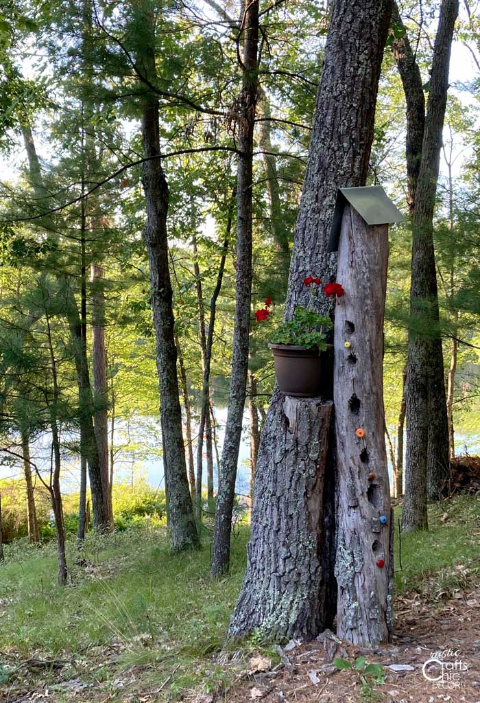 tree trunk bird house