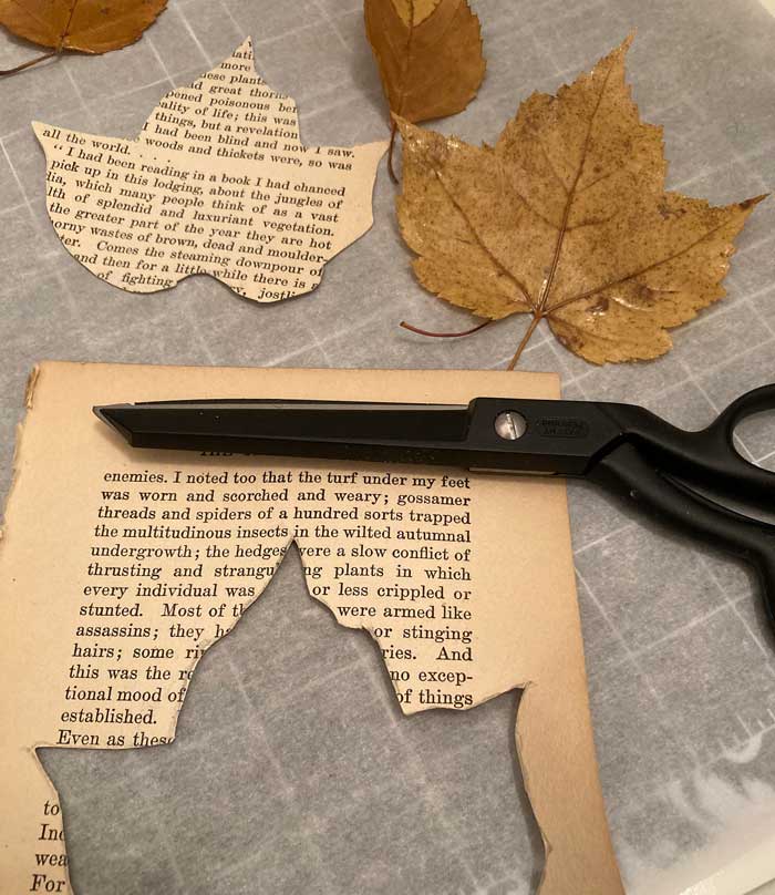 cut book page leaves