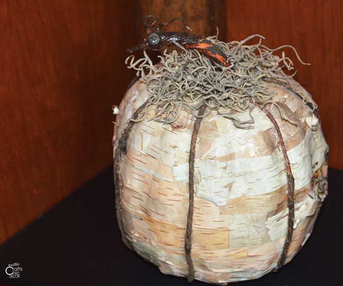 birch bark pumpkin