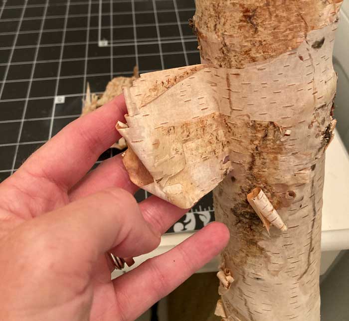 peel bark off log