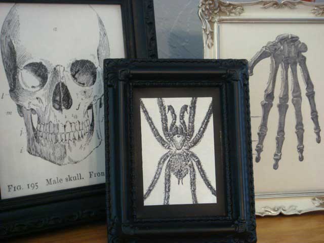 spooky framed decor