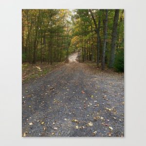 fall road canvas