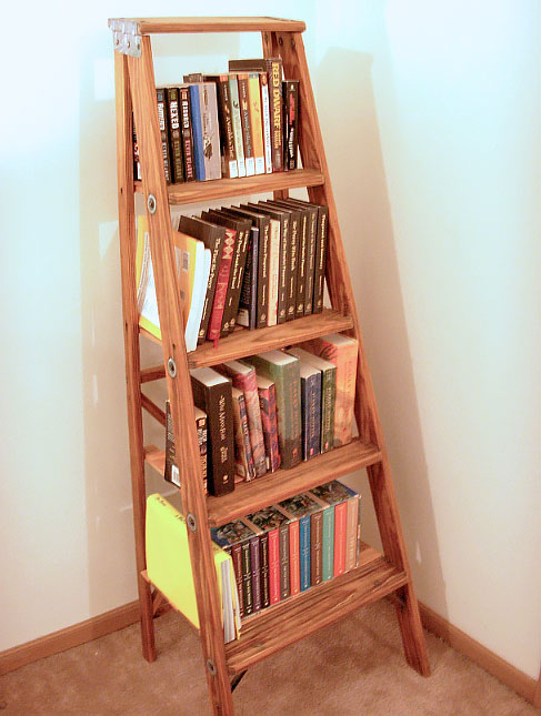 ladder bookshelf