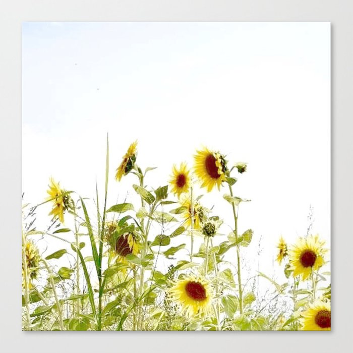 sunflower wall art canvas