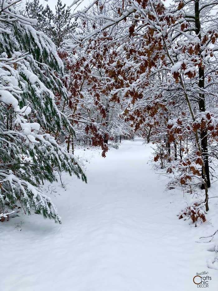 fresh snow over trail